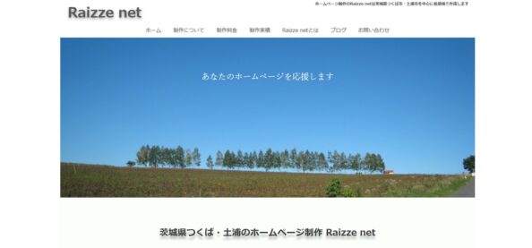 Raizze net