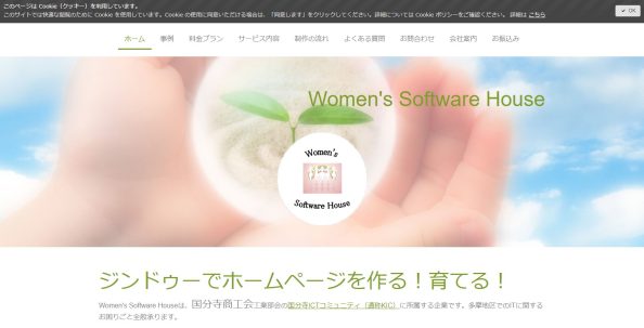 Women's Software House